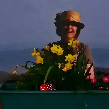 Finnhütte Hohe Klinge Trusetal