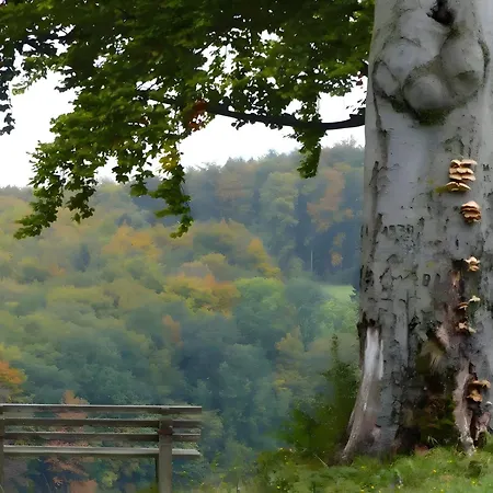 Сasa de vacaciones Finnhütte Hohe Klinge Trusetal