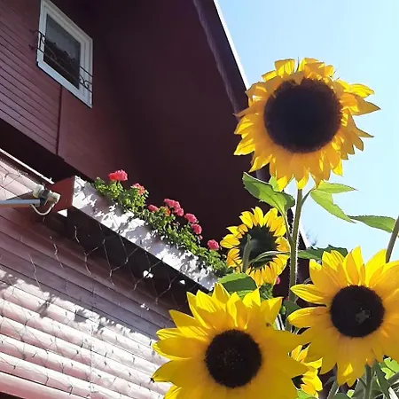 Finnhütte Hohe Klinge Trusetal * Brotterode