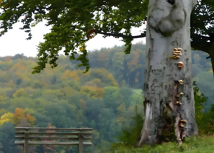 Tatil Evi Finnhuette Hohe Klinge Trusetal