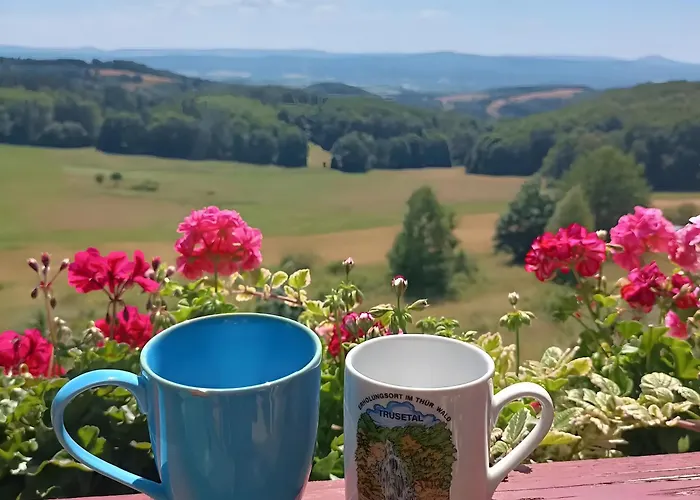 Finnhuette Hohe Klinge Trusetal Tatil Evi