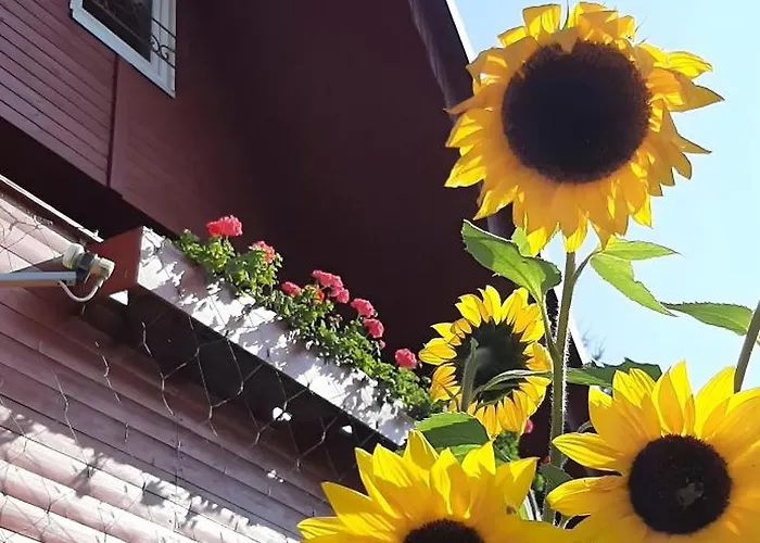 Finnhuette Hohe Klinge Trusetal * Brotterode